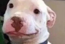 娱乐圈吃瓜公众号微信